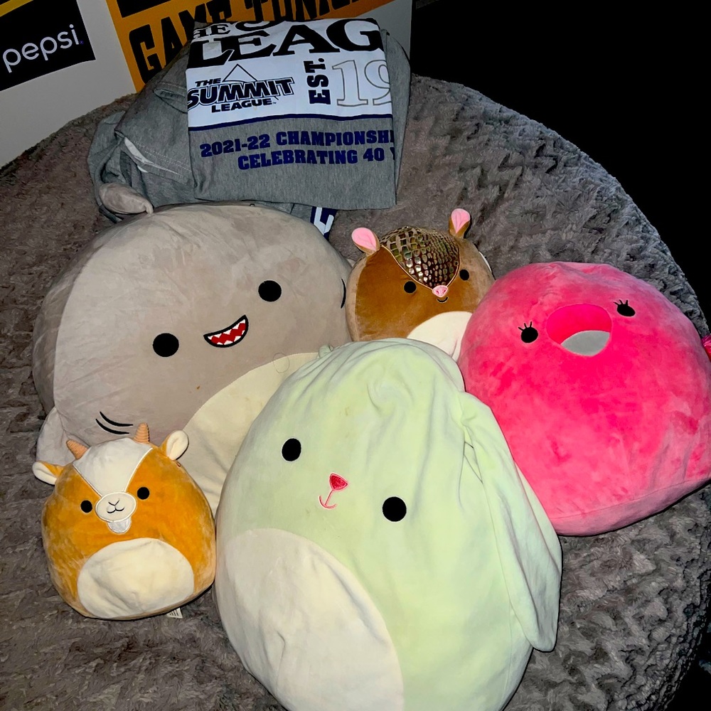 5 squishmallows